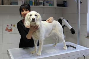 hundesalon_02